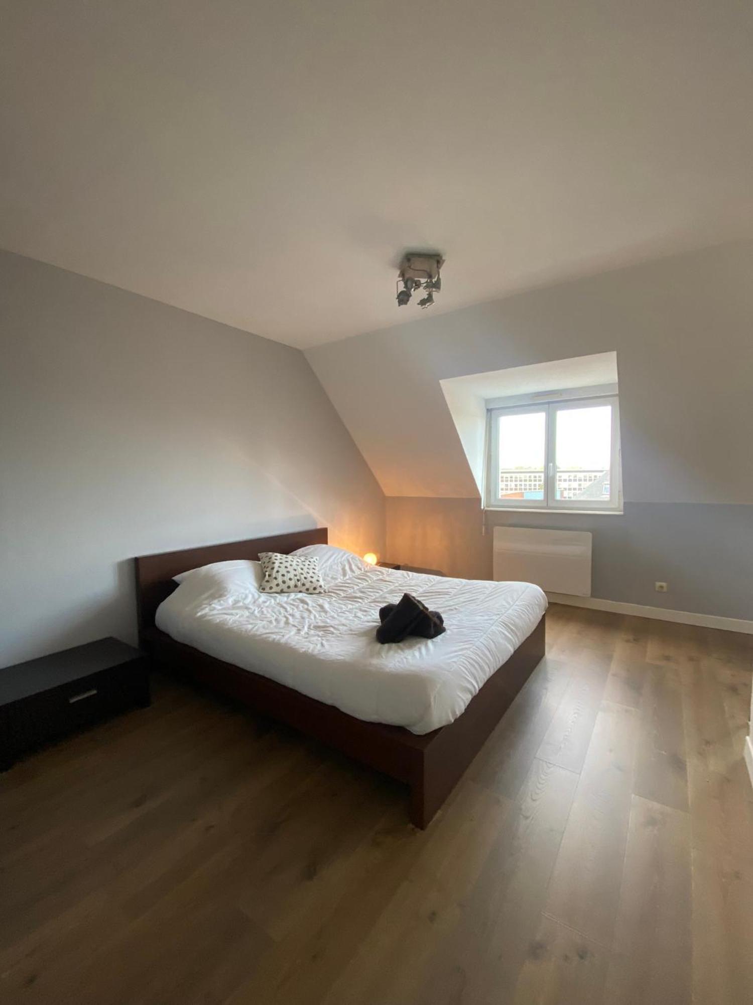 2 Chambres Hyper Centre Avec Place De Parking Et Wifi Amiens Eksteriør billede